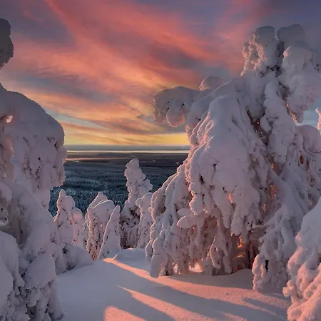 Mastonrinne Apartment *